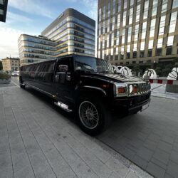 Stag party in a Hummer limo (Krakow)