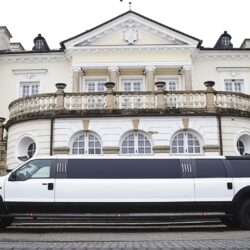 Limo, side view