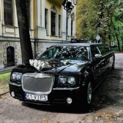 Wedding limousine (2022)